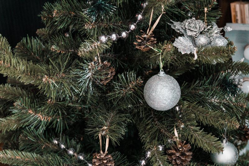 tree with one white ball